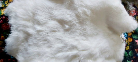 Rabbit Fur Pelt
