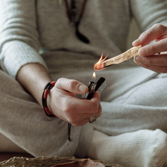 Palo Santo 4" Stick