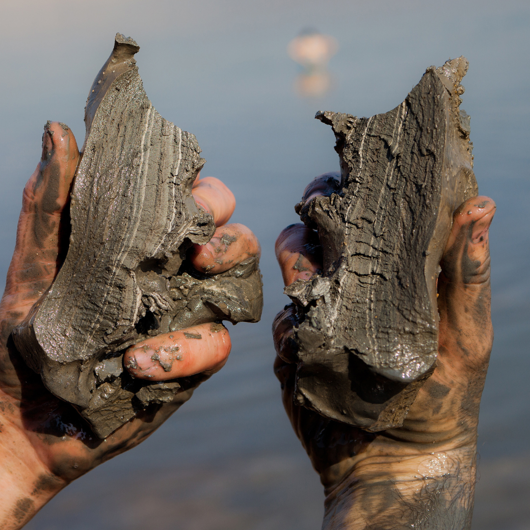 Dead Sea Mineral Mud