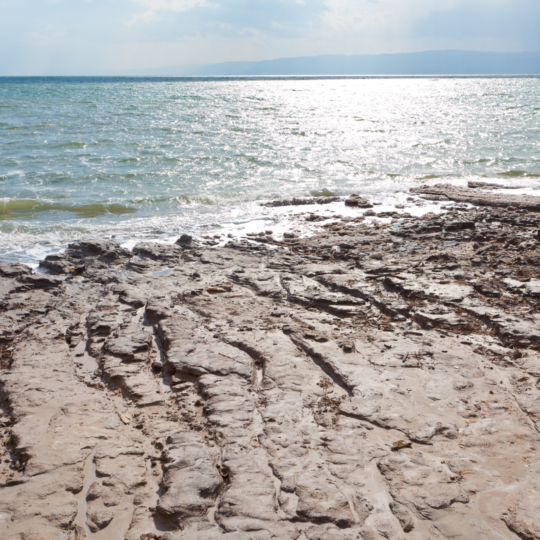 Dead Sea Mineral Mud